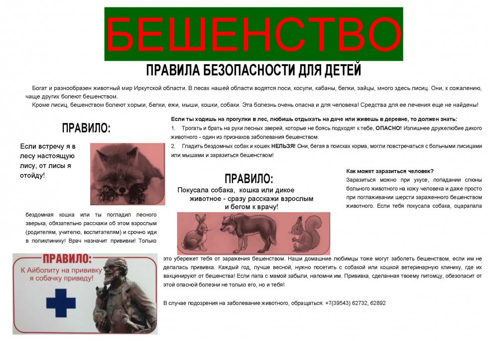 БEШЕНСТВО ПРАВИЛА БЕЗОПАСНОСТИ ДЛЯ ДЕТЕЙ