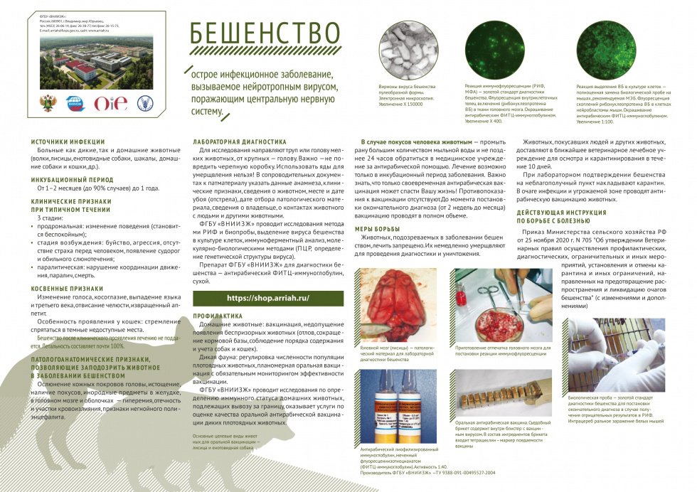 Информация о бещенстве 