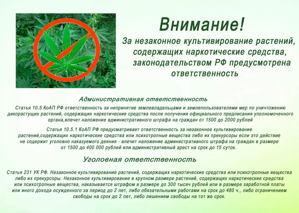 Внимание!