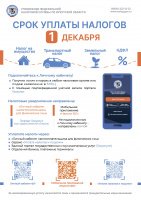 Срок уплаты налогов - 1 декабря!
